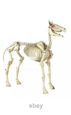6 ft Life Size Standing Skeleton Horse and Pony Set Halloween Prop Can Ship