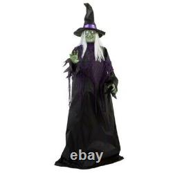Life Size Halloween Animated Standing Witch Prop Decoration NEW same day ship