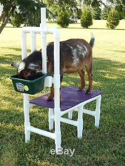 MILK Stand Nigerian Pygmy Goat Sheep FREE SHIPPING Milking Grooming Only 25 lbs