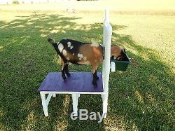 MILK Stand Nigerian Pygmy Goat Sheep FREE SHIPPING Milking Grooming Only 25 lbs