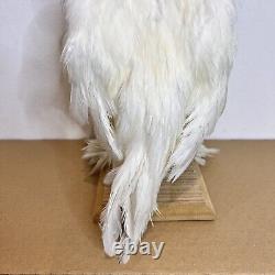 NEW Taxidermy Mount White Tinny Sultan Rooster Chicken Bird Stand Art Hen 4 Sale