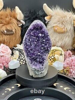 Natural Deep Grape Colored Amethyst Standing Geode AMAZING! Free ship & Gift