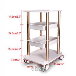 Salon SPA Trolley Stand For Cavitation Beauty Machine Instrument Rolling Cart