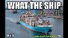 What The Ship Ep 88 Containers Strikes Averted Mississippi River Black Sea Buffett