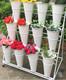 White Flower Display Stand + 12PCS Buckets 3-Layer Metal Plant Stand with Wheels